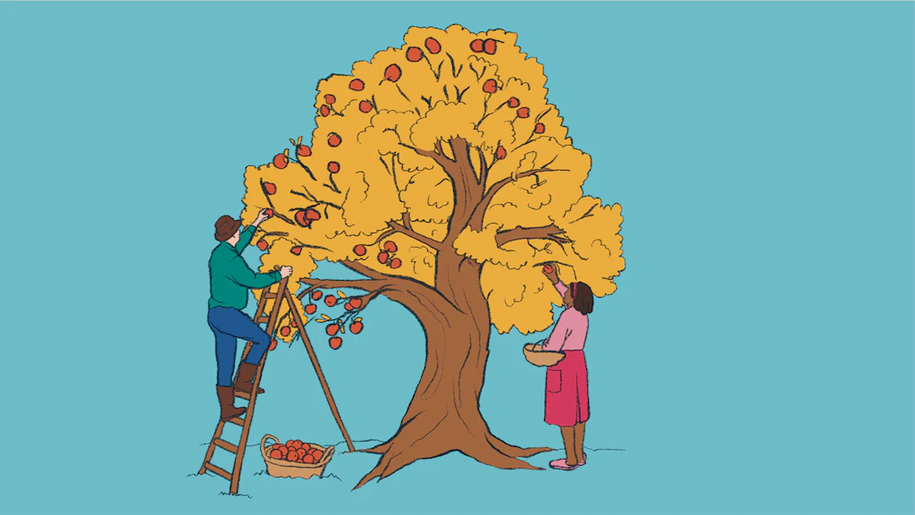 Ein Mann steht auf einer Leiter und pflückt viele Äpfel, eine Frau steht auf dem Boden und kann fast nichts ernten.